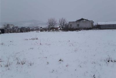 Teren de 7800 mp, în Central - 3