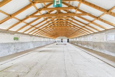 Spațiu industrial, de 765 mp, în Variaș - 9