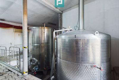 Casă individuală cu 6 camere cu Canalizare în Miniș - 21