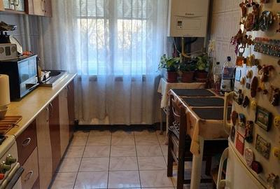 Apartament cu 2 camere semidecomandat în Săsar - 3