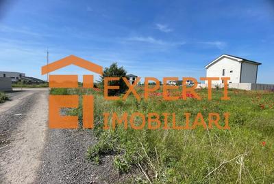 Teren intravilan in KM 5, la VETERANI - PRELUNGIREA TRACTORULUI Teren intravilan in KM 5, la VETERANI - PRELUNGIREA TRACTORULUI - 17