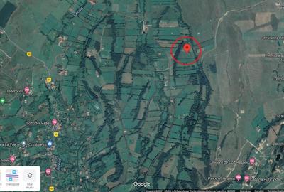 Teren agricol intravilan de 8310 mp, în Sohodol - 2