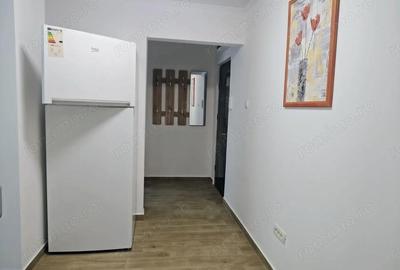 Apartament cu 3 camere semidecomandat în Cantemir - 6
