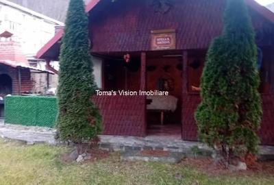 Vanzari Case / vile - 3