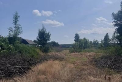 Teren de 13518 mp, în Marginea - 3