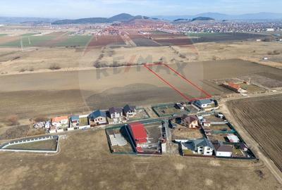 Teren 6400 mp, Drumul cu Plopi, Sanpetru - 2