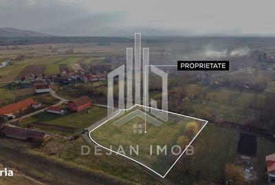 Teren de 5260 mp, în Reci - 2