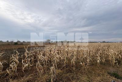 Teren Construcții intravilan de 5200 mp, în Periferie - 4