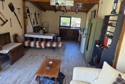 Casă cu 3 camere cu Teren 4400 Mp în Valea Vinului - 13