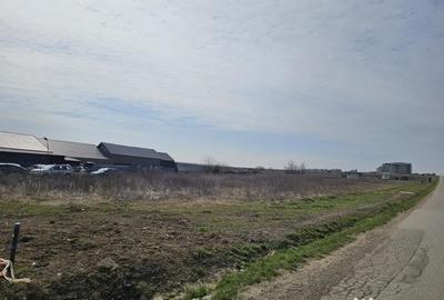 Teren de 700 mp, în Răchiți - 5