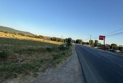 Teren de 2800 mp, în Central - 4