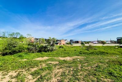 Teren intravilan Trivale Pitesti Teren intravilan Trivale Pitesti - 1