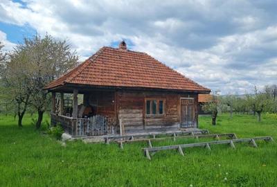 Domeniu Pensiune Transfagarasan 20855 Domeniu Pensiune Transfagarasan 20855 - 5