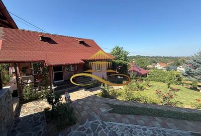 Casa si terasa de vanzare in Magura Bacau - 13