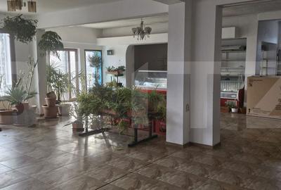 Spațiu comercial, de 200 mp, în Gura Ocniței - 2