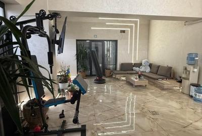 Penthouse cu 4 camere decomandat, mobilat în Calea București - 18