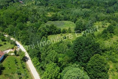Teren de vanzare in comuna Baicule?ti, sat Valea lui Enache, jude? Arge?. - 9