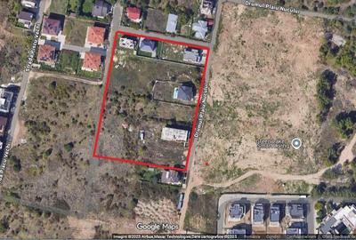 Teren Sisesti Plaiul Nucului 1013 Mp New 2025 Teren Sisesti Plaiul Nucului 1013 Mp New 2025 - 2