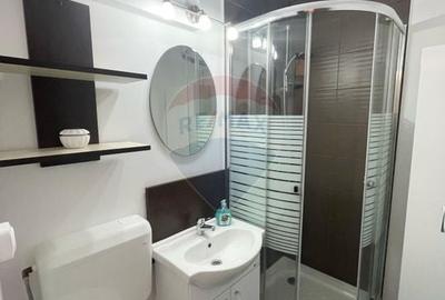 Apartament cu 1 camere semidecomandat, mobilat în Micălaca - 7