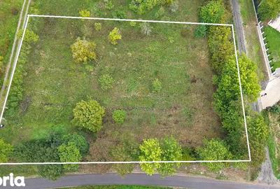 Teren de 2812 mp, în Viile Satu Mare - 4