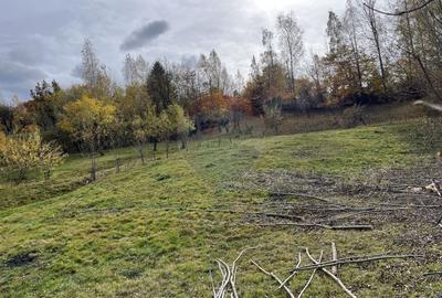 Teren de Vis in Bran - 1000mp Plat, Liniste Absoluta si Aer Curat - 21