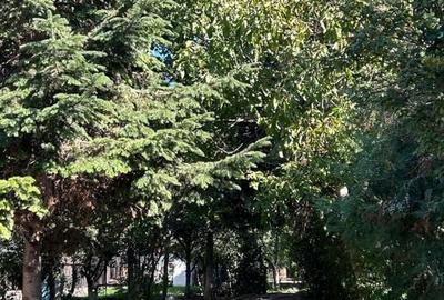 Casă individuală Buftea, 3.162 mp teren, ieșire spre lac - 45