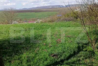 Teren de 1500 mp, în Central - 3