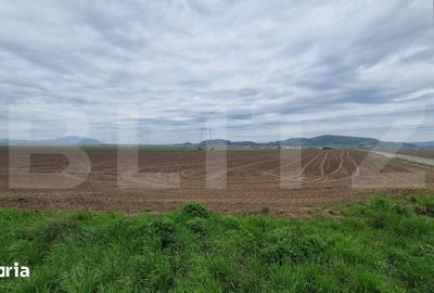 Teren de 15000 mp, în Hărman
