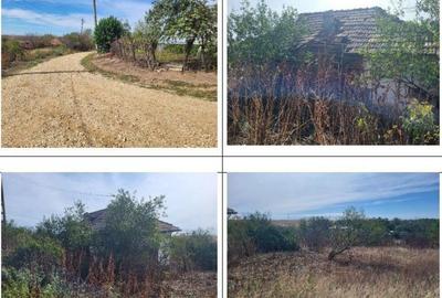 Casa si teren Sat Guruieni, cota parte de 1/2 , ID: R2319667 - 11