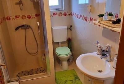 Vila Cristian, mobilata si utilata, gradina, pomi fructiferi, spatii recreere - 13