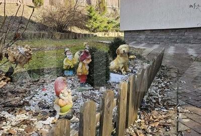 Casa in inima naturii, 140 mp la doar 15 minute de Hunedoara - 15