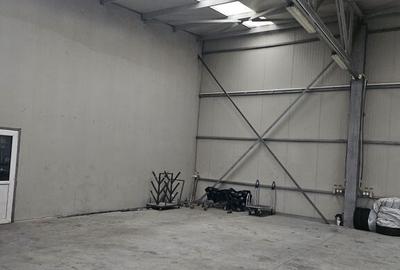 Spațiu comercial, de 437 mp, în Domnești - 4