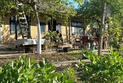 Casă individuală cu 3 camere cu Teren 1167 Mp în Băneasa - 2