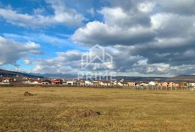 Teren de 1145 mp, în Cetate