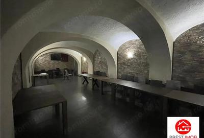 De vanzare spatiu comercial zona ultra centrala 277 mp - 6