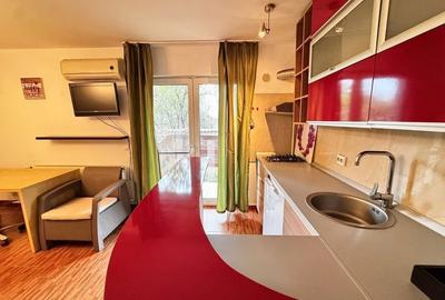 Studio cu gradina la 10 minute de metrou - Laminorului - Bucurestii Noi - 3