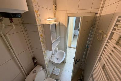 Garsoniera | Liviu Rebreanu | Park Lake | Dristor - 11