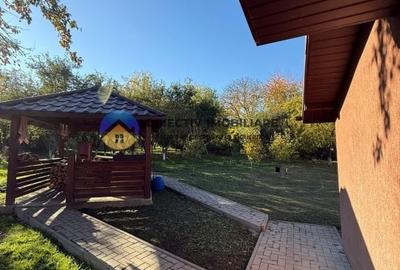 Casa + teren de vanzare - Almas - 17