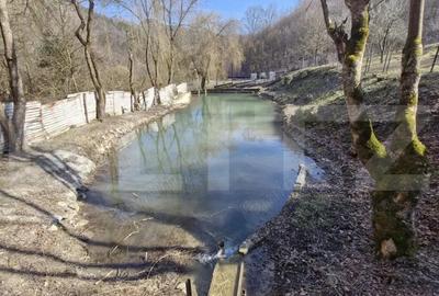 Casă cu 5 camere cu Teren 3000 Mp în Valea Inzelului - 4