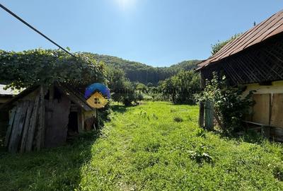 Casa batraneasca / Piatra Neamt / Pentru iubitorii de natura - 3