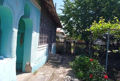 Casă cu 3 camere în Leu - 3