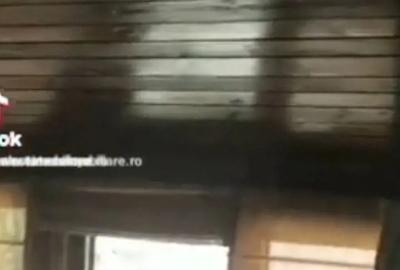 Vila uniri rond regina maria 400 metri cu teren 200 metri - 5