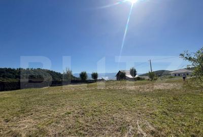 Teren de vanzare 925 mp, zona Valea Jelnei - 4