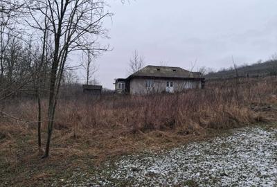 Teren de 12000 mp, în Vladnic - 2