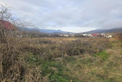 TEREN INTRAVILAN 10.700 mp  DE VANZARE  IN TG.OCNA - 2