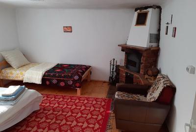 Cabana zona de deal în Apuseni - 6