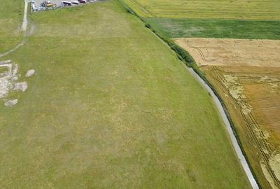 Teren intravilan de 29,970mp Sacalaz - 11