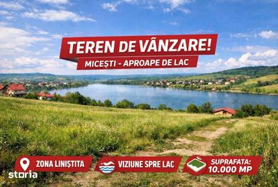 Teren de 10000 mp, în Tureni - 1