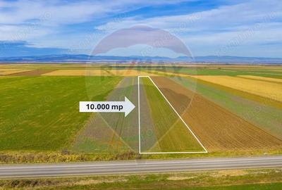 Teren de 10000 mp, în Tărlungeni