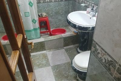 Colentina - Doamna Ghica - 8